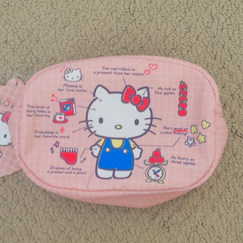 Sanrio Original Hello Kitty Pouch Kit New